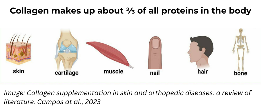 collagen